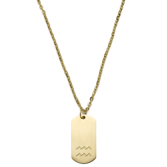 Goudkleurige Stalen Ketting met Sterrenbeeld Waterman