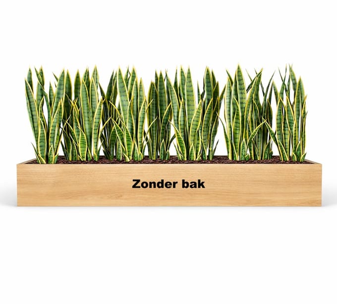 Kunstplantenpakket Leiden (t.b.v. kast 160 cm breed)