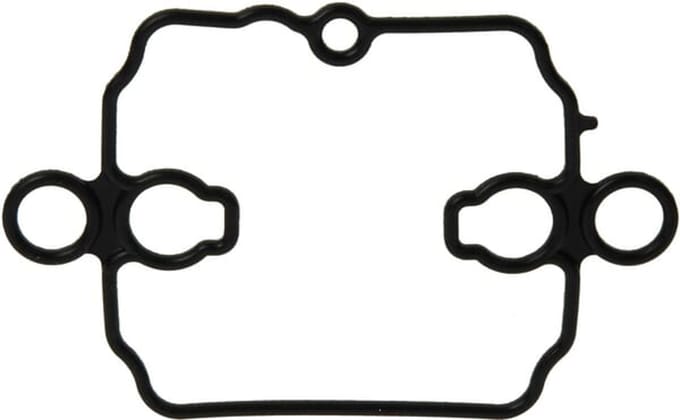 Briggs & stratton vlotterbakpakking