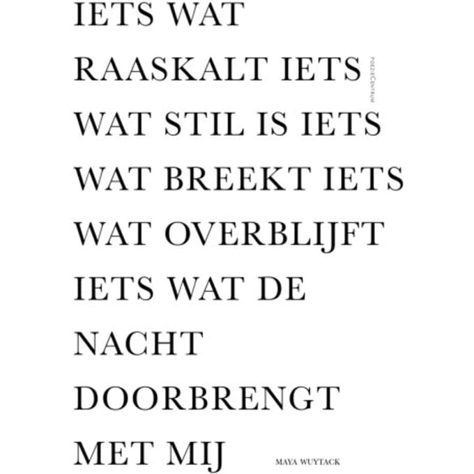 Iets Wat Raaskalt Iets Wat Stil Is Iets Wat Breekt Iets Wat Overblijft Iets Wat De Nacht Doorbrengt - Maya Wuytack