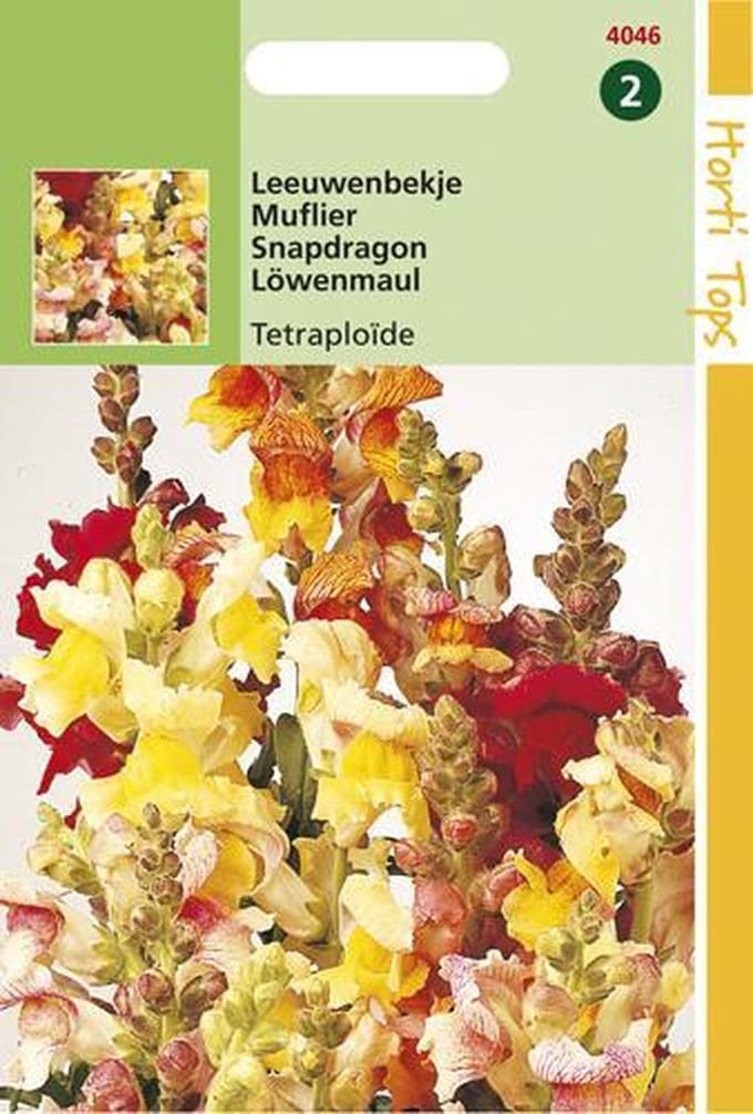Hortitops Zaden - Antirrhinum Majus Nanum Tetraploide Gemengd