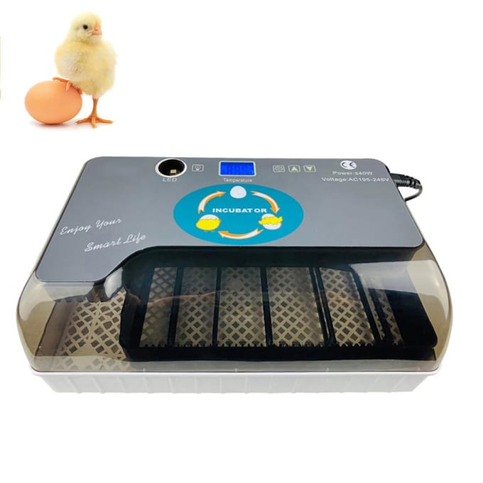 Digitale broedmachine Automatische broedmachine met eiertester Automatische eierendraaier 12 eieren Pluimvee UK Plug gray