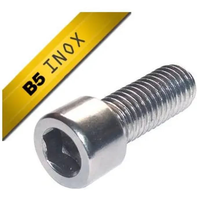 Zakje met 25 roestvrijstalen schroeven Black Bearing M5 x 25 CHC