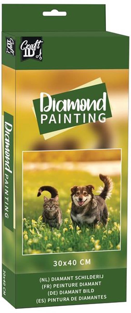 Diamond painting kat en hond 30x40cm
