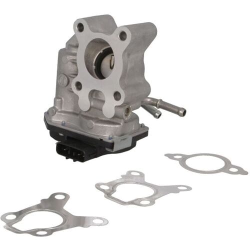 EGR-klep DELPHI EG10654-12B1