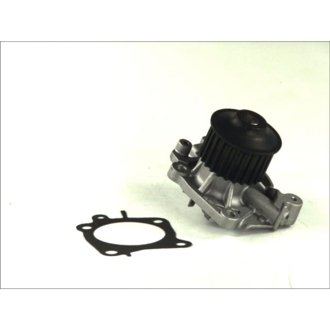 Waterpomp THERMOTEC D15008TT