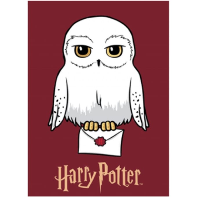 Harry Potter fleece deken