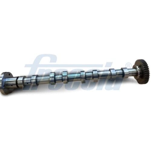Nokkenas  FRECCIA CM05-2378