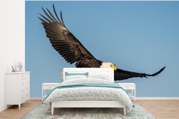 Behang - Fotobehang Vogel - Arend - Roofvogels - Breedte 295 cm x hoogte 220 cm