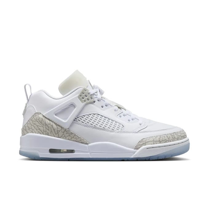 Trainers Nike Jordan Spizike Low