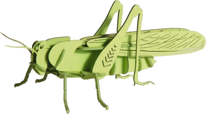 FRIDOLIN 3D Papier Model - Sprinkhaan.
