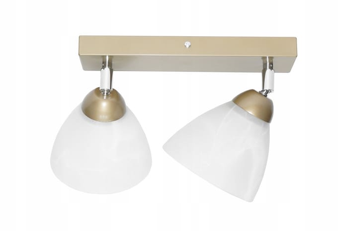 Świetlik RB2 Plafond Lamp E27 LED, 2 Spots, Verstelbare Kappen