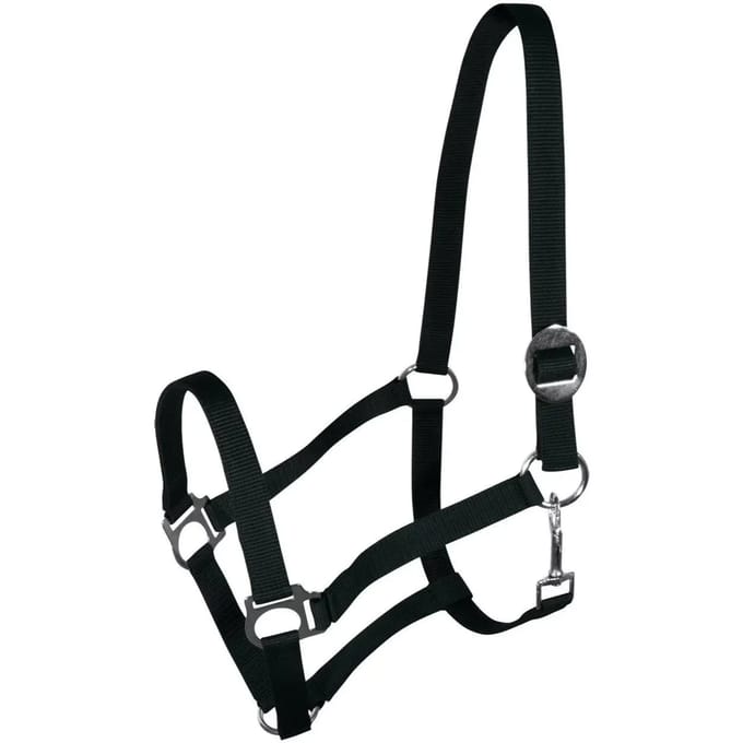 Halster voor paarden York Harmony