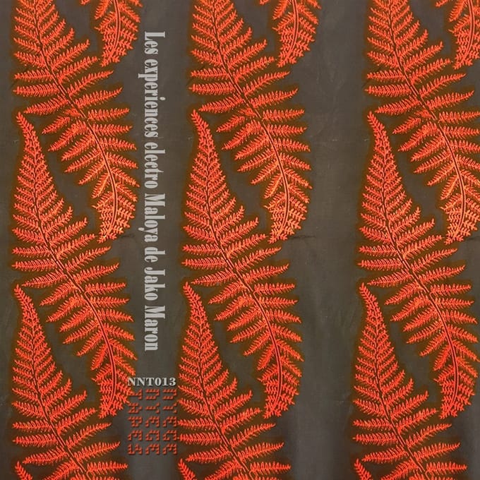 Jako Maron - The Electro Maloya Experiments Of Jako Maron (2 LP) (Limited Edition)