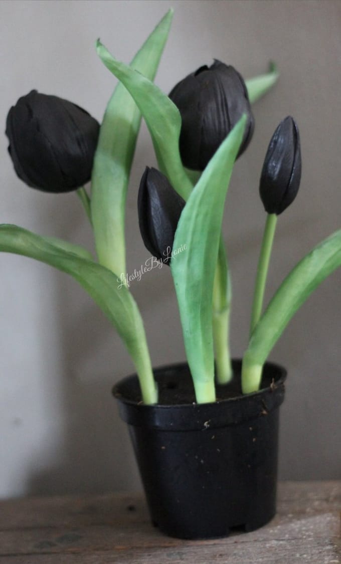 Countryfield zwarte kunsttulpen in een potje set van 2