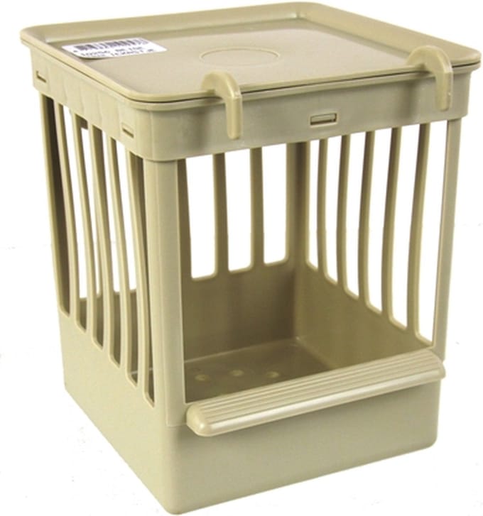 - NESTKASTJE PL+TRALIES BEIGE