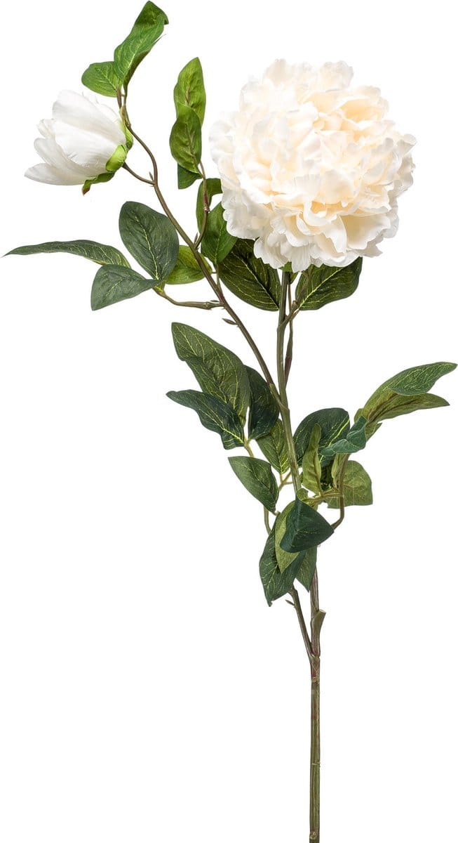 Emerald - Kunstbloem Pioenroos 100cm crème - Kunstplant voor binnen
