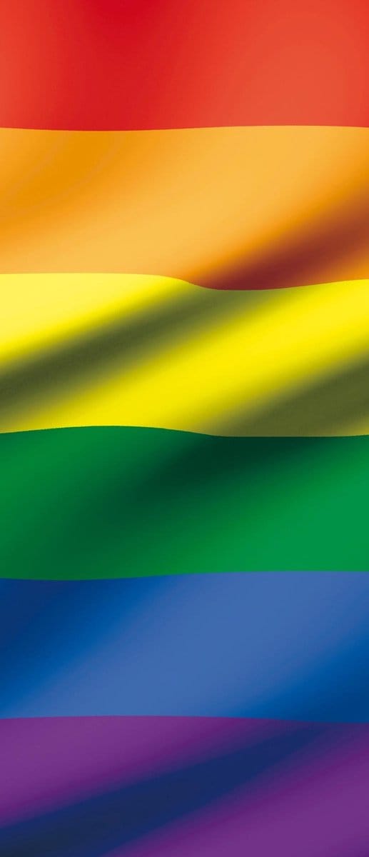 Flag Rainbow Gay Pride Photo Wallcovering