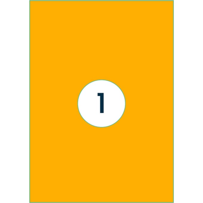 Etiket Rillprint 210x297mm fluor oranje 100 stuks