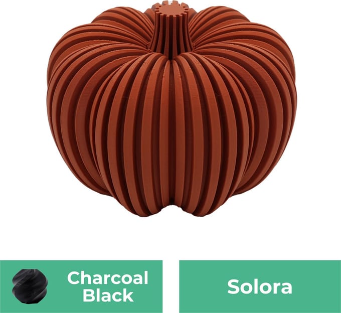 Solora pompoen beeld – Decoratief beeld - Zwart - 3d geprinte beeld – Herfst woondecoratie - 12.5CM