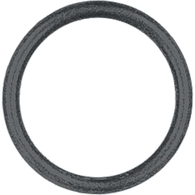 O- ring 22,0x2,5 fluoriert