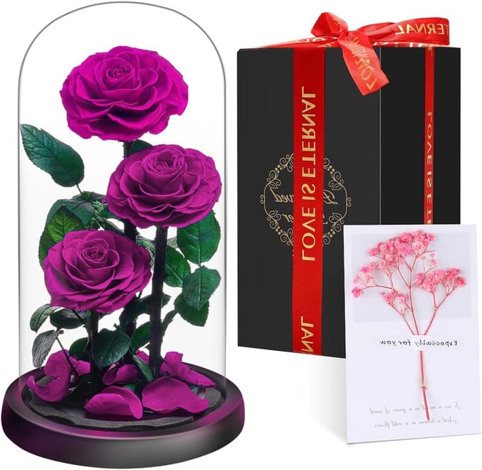 Eeuwige Roos Glas - Roos Decoratie - Romantisch Cadeau - Echte Conserverende Bloem - 3 Rozen - Paars