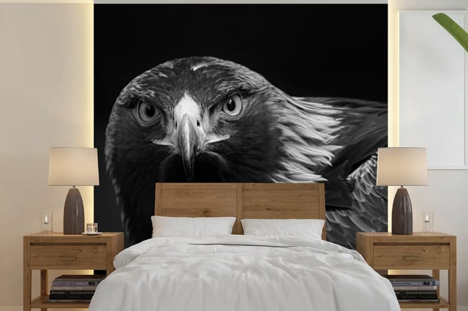 Behang - Fotobehang Buizerd - Vogel - Dieren - Zwart - Wit - Breedte 280 cm x hoogte 280 cm