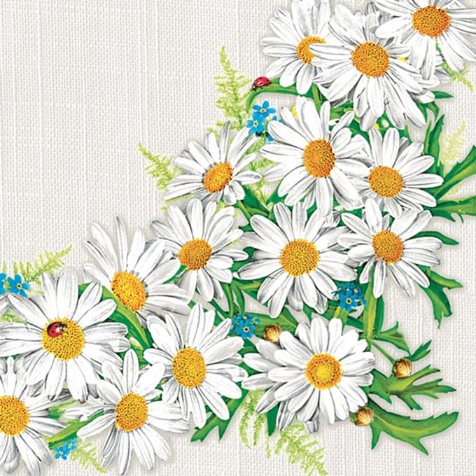 Lunch servetten Daisy Frame - Daisy - 33x33 cm