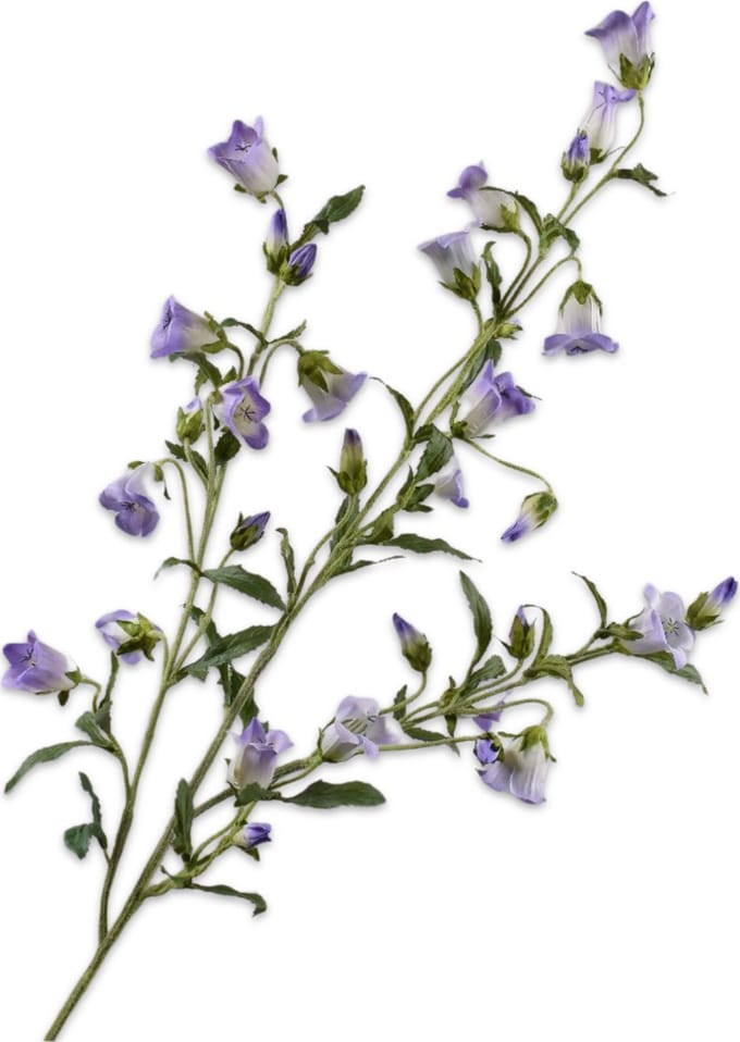 Silk-ka Kunstbloem-Zijden Bloemen Campanula Tak Lila 112 cm