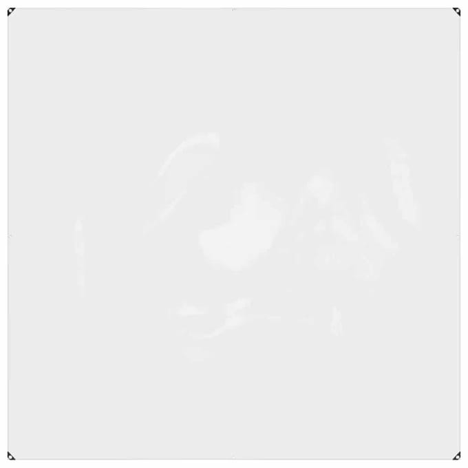 vidaXL - Doorzichtig - afdekzeil - met - ogen - 2x2 - m - PVC