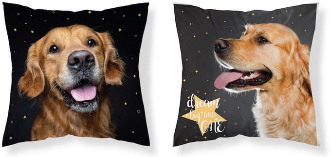 Golden Retriever Sierkussensloop Hond kussen 40x40cm ZONDER vulling
