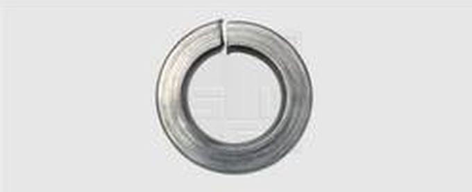SWG 447667 Veerring Binnendiameter: 6.1 mm M6 DIN 127 RVS A2 100 stuk(s)