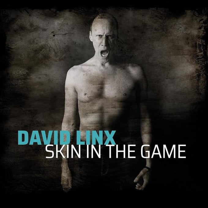 David Linx - Skin In The Game (CD)