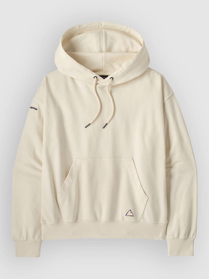 Patagonia Fitz Roy Massif Daily Hoodie wit