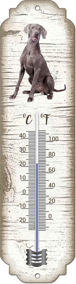 Thermometer: Weimaraner | Hondenras | Temperatuur binnen en buiten | -25 tot +45C