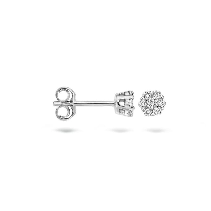Blush Diamonds Oorbellen