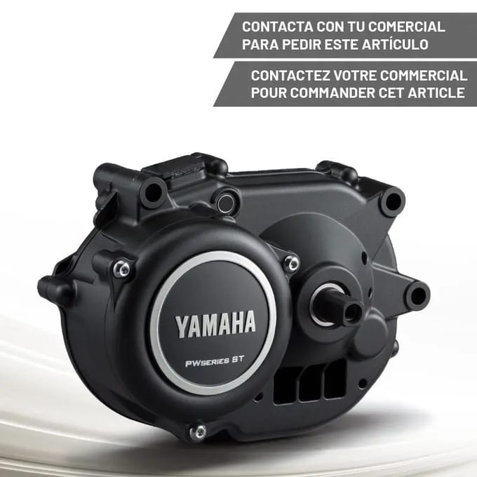 Elektromotor Yamaha PW-ST