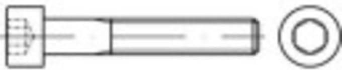 TOOLCRAFT TO-5371920 Cilinderschroeven M2,5 5 mm Binnenzeskant (inbus) ISO 4762 RVS A2 100 stuk(s)