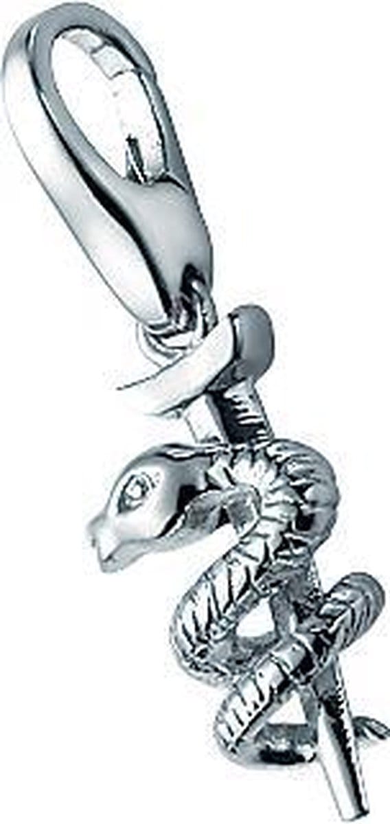 Bedel | charm | sterling zilver | esculaap | karabijn | hanger