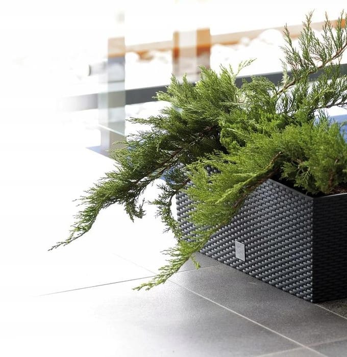 Prosperplast Rato-Case Rotan Bloemenpot DRTC500 440U-umbra