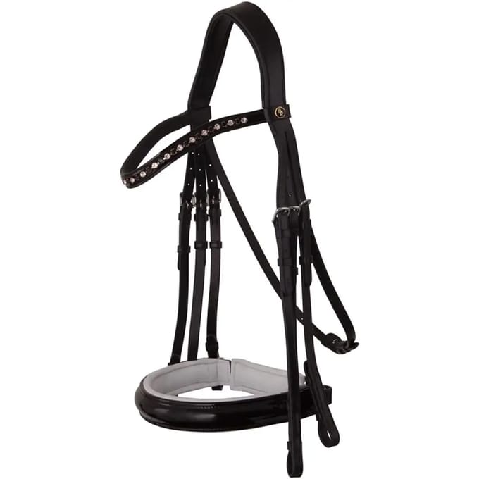 Anatomische hoofdstellen BR Equitation Wendover