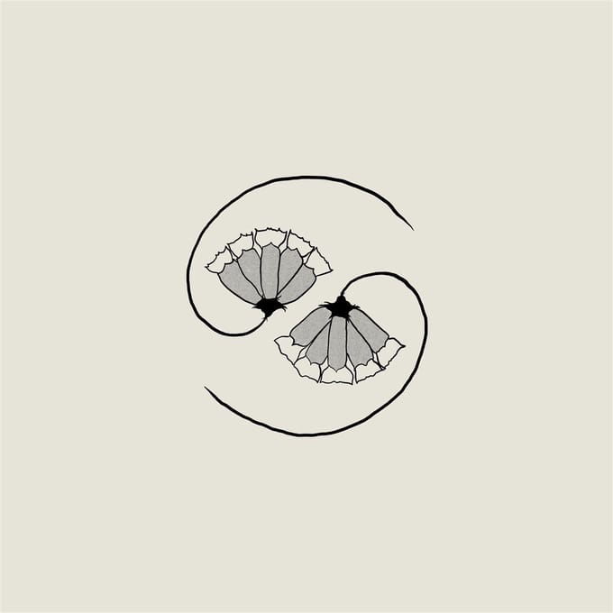 Godspeed You! Black Emperor - G_d's Pee At State's End! (CD)