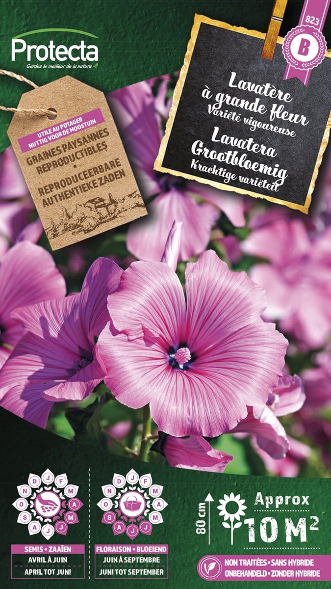 Protecta Bloemen zaden: Lavatera Grootbloemig