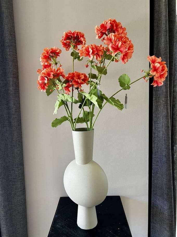Geranium tak - 94 cm hoog - Oranje
