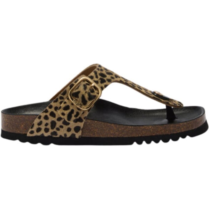 Scholl Anais Slippers Bruin F00629
