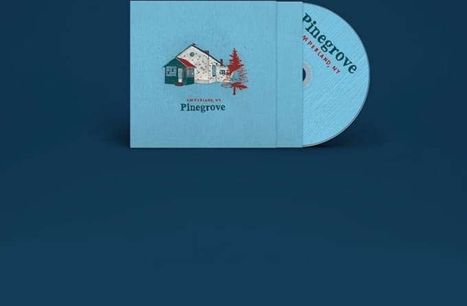 Pinegrove - Amperland, NY (CD)