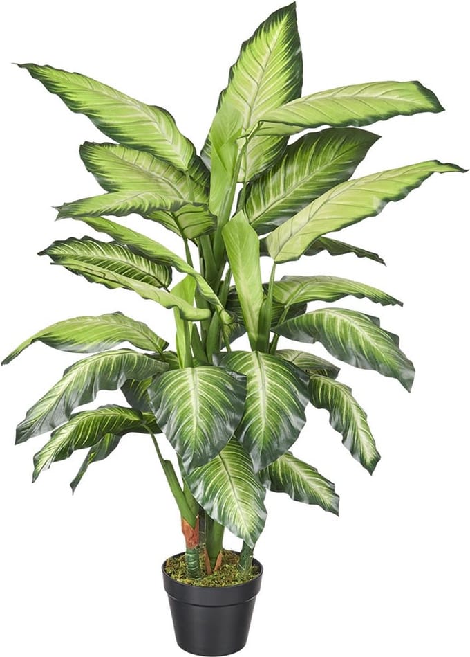 Kunstplant Dieffenbachia H120cm - HTT Decorations kunstplanten