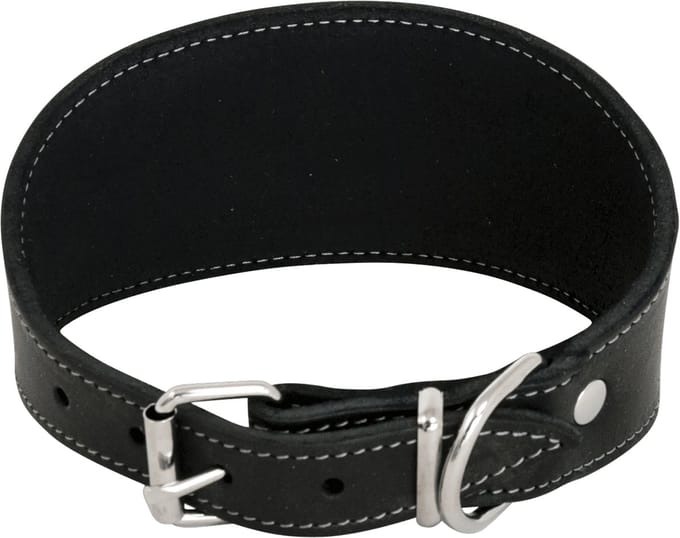 Halsbband windhond - zwart - 37cm (whippet)