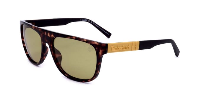 Timberland Tb00004 Gepolariseerde Zonnebril Goud Man