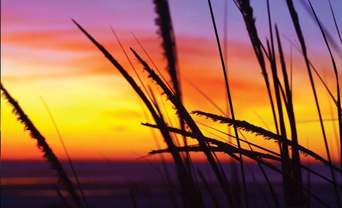 Beach Sunset Photo Wallcovering